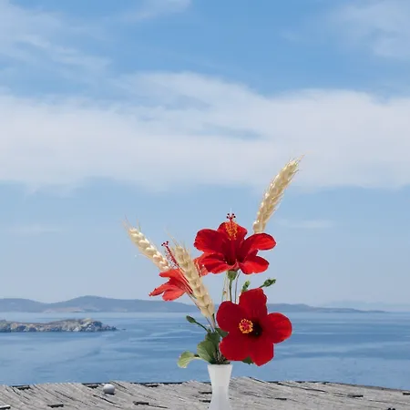 Mykonos View Отель Mykonos Town