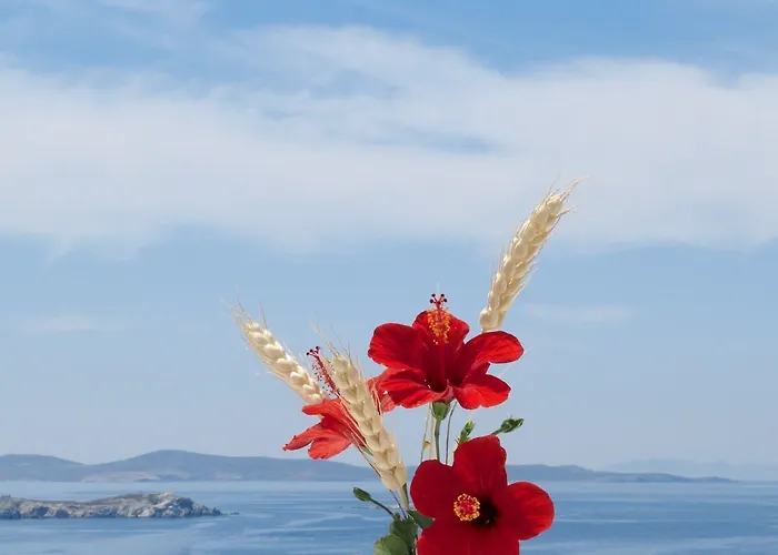 Mykonos View Hotell Mykonos Town