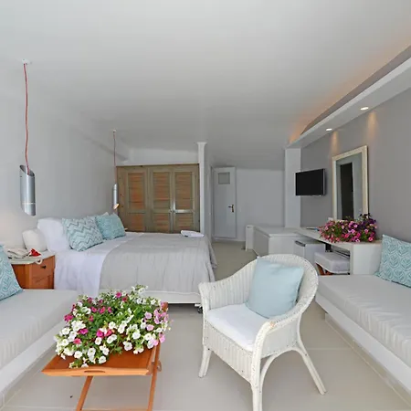 فندق ميكونوس فيو Mykonos Town